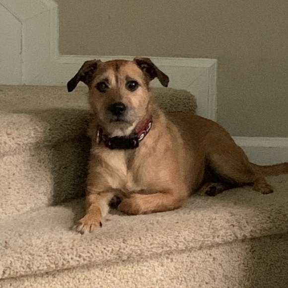 Meet your Posher, Matt - Picture 1 of 1